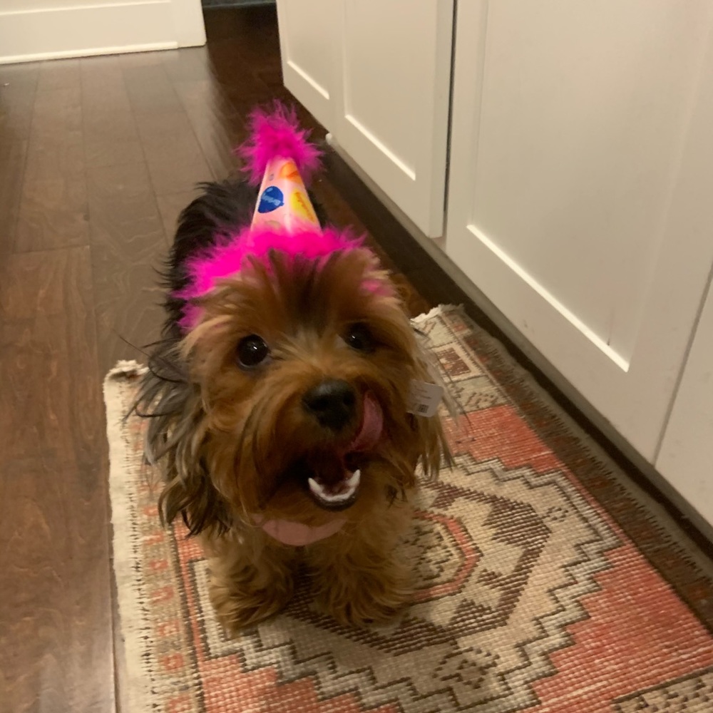 Meet your Posher, Mardi